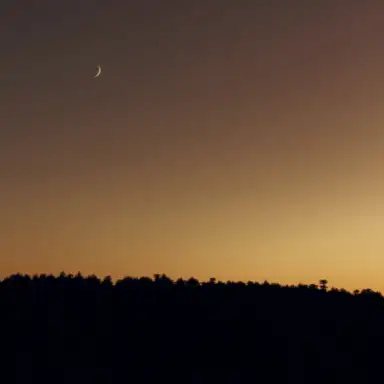 horizon