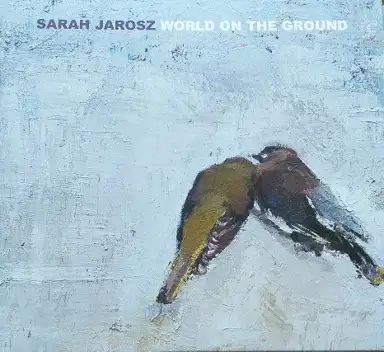 World on the Ground
