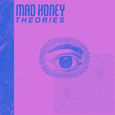 Theories