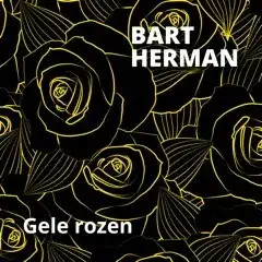 Gele rozen