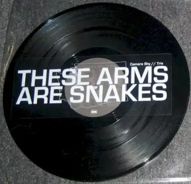 These Arms Are Snakes / Russian Circles