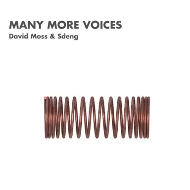 Many More Voices