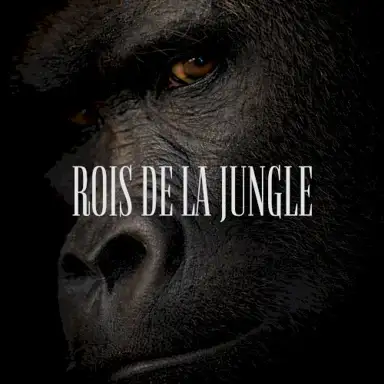 ROIS DE LA JUNGLE