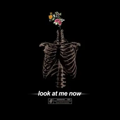 Look At Me Now