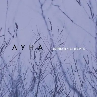 Первая четверть
