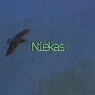 Niekas