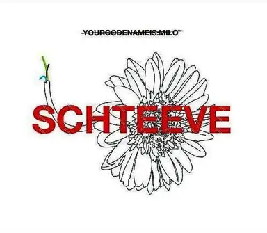 Schteeve
