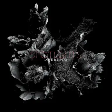 Love & Decay