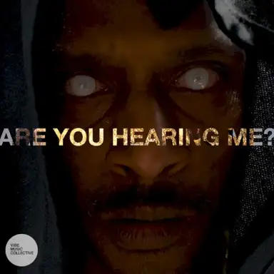 Are You Hearing Me?