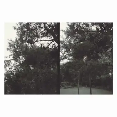 just like any other day (어느날): background music for your mundane activities