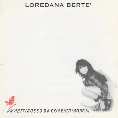 Un Pettirosso Da Combattimento