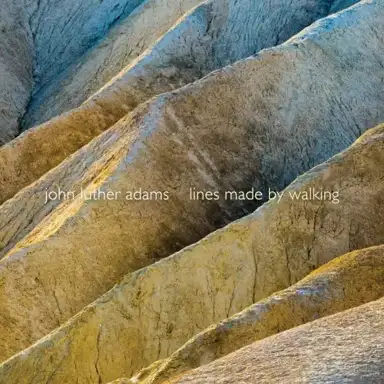 Lines Made by Walking