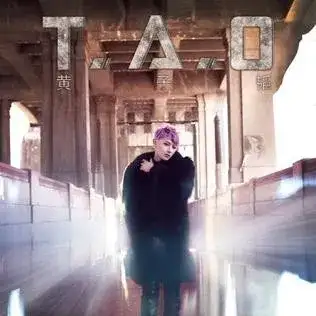 T.A.O