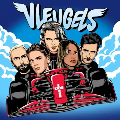 Vleugels