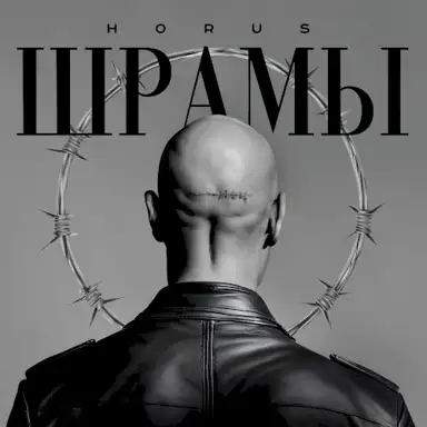 Шрамы