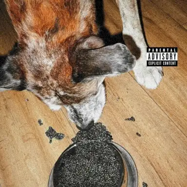 Du caviar pour mon chien