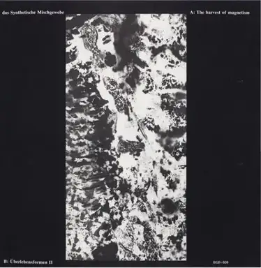 The Harvest of Magnetism