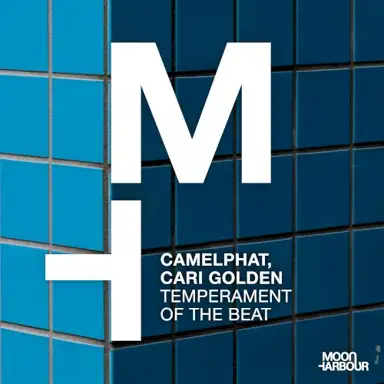 Temperament of the Beat
