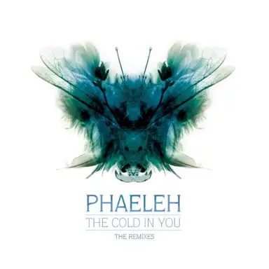 The Cold in You: The Remixes
