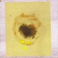 Piss / Oil
