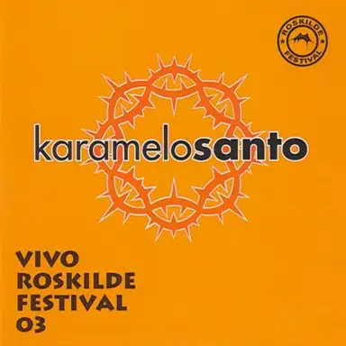 Vivo Roskilde Festival 03
