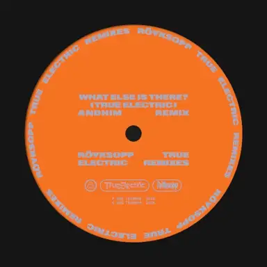 What Else Is There? (andhim extended remix)