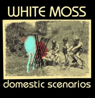 Domestic Scenarios
