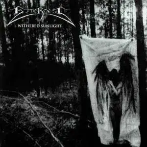 Withered Sunlight / False Guardians