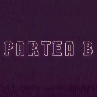 Partea B
