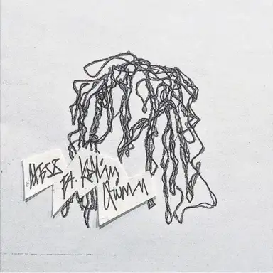 MESS