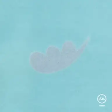 너와나의20세기