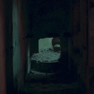Tunnel Vision
