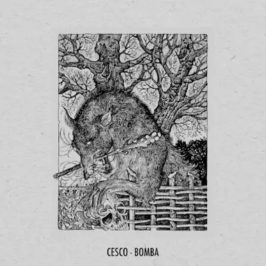 Bomba