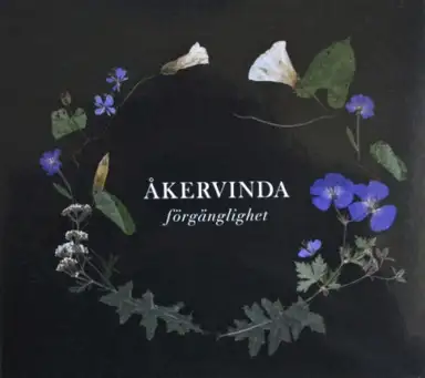 Förgänglighet