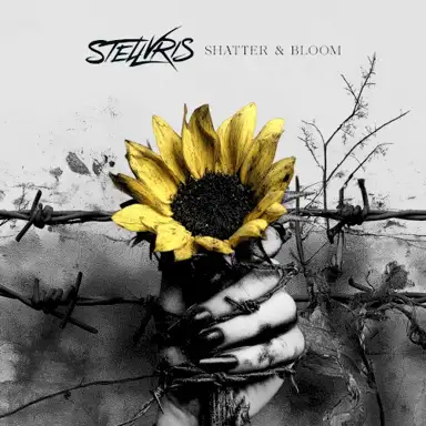 Shatter & Bloom