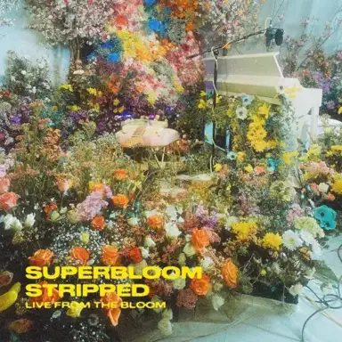 SUPERBLOOM (stripped) (live from the bloom)