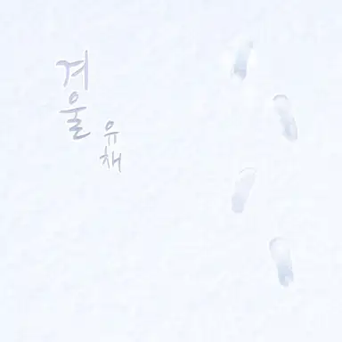 1월의 유채