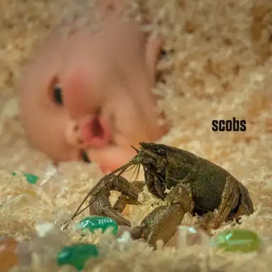 Scobs