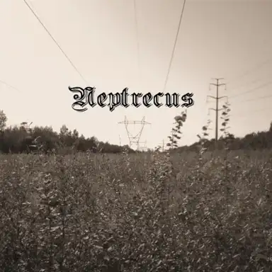 Neptrecus