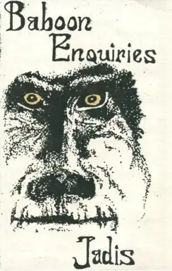 Baboon Enquiries