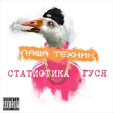 Статистика гуся
