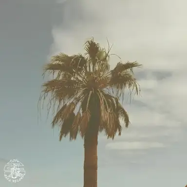 La luz