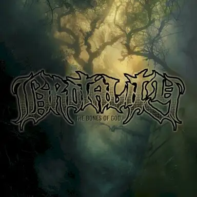 The Bones Of God