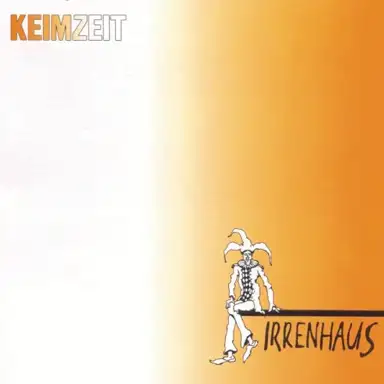 Irrenhaus