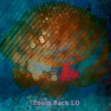 Zoom Back LO