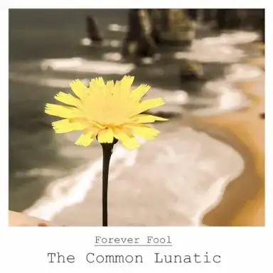The Common Lunatic