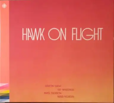 Hawk on Flight