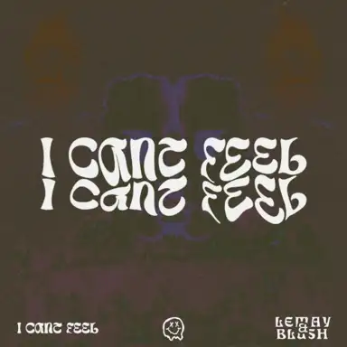I Can't Feel