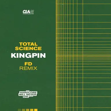 Kingpin (FD remix)