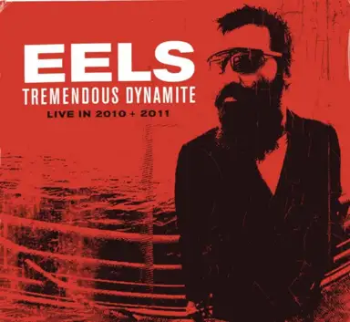 Tremendous Dynamite: Live in 2010 + 2011